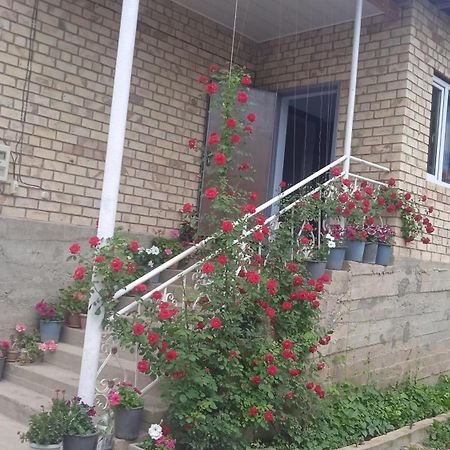 Guest House Kyzyl Alma Arkit Dış mekan fotoğraf