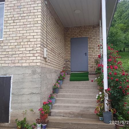 Guest House Kyzyl Alma Arkit Dış mekan fotoğraf